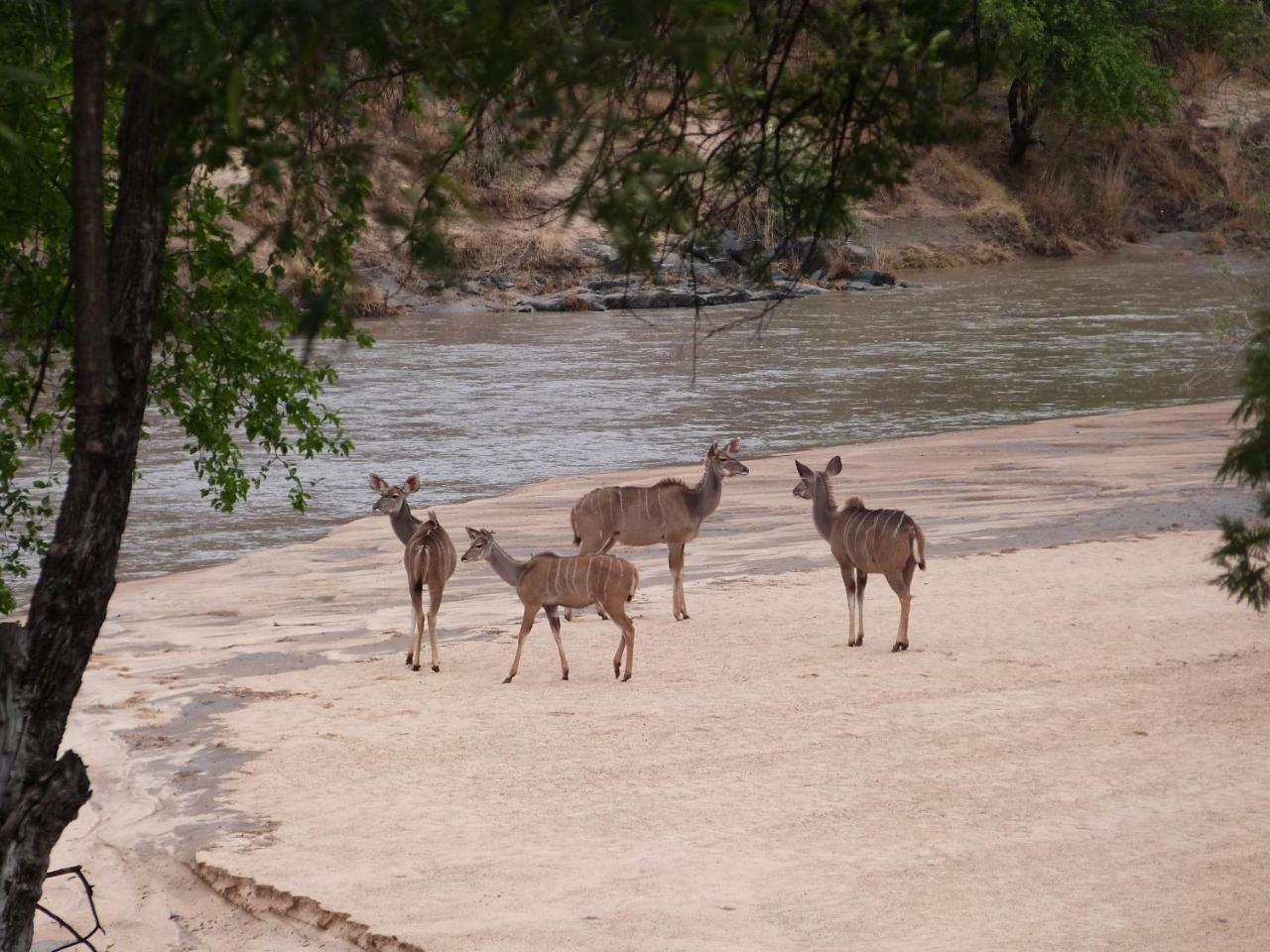 Woodlands Stop Over And Lodge Francistown Extérieur photo